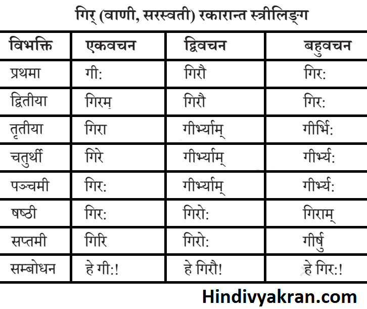 Gir Shabd Roop In Sanskrit