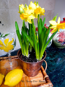 Daffodils in the Kitchen --- by Ms. Toody Goo Shoes