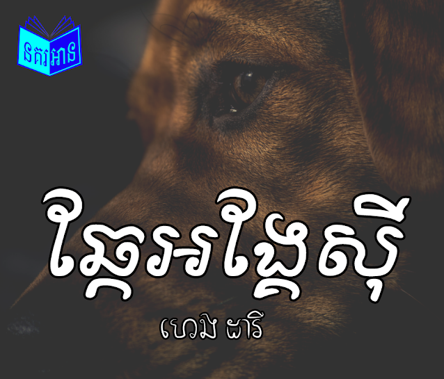 ឆ្កែអង្គែស៊ី 1