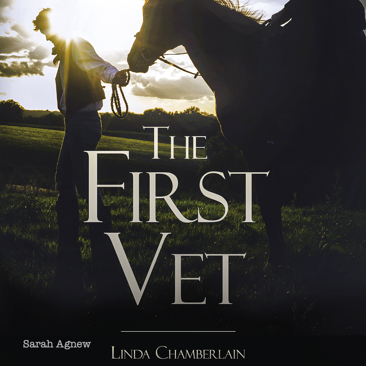 Debut novel by Sussex writer, Linda Chamberlain THE FIRST VET