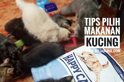 Ini Adalah Bellarina Natasya: TIPS Memilih Makanan Kucing (Cat Food) -
kebaikan makanan kucing greens