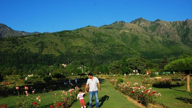 Srinagar Botanical Garden