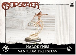 CharacterBox_Halodynes_SanctumPriestess