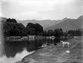 Fotografías antiguas Cachemira, India (1890-1910)