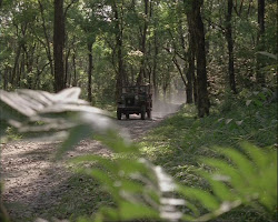Hunting for location  in the forest ...