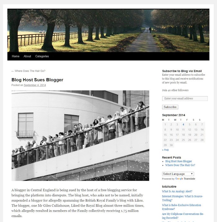 WordPress.com Twenty Ten theme