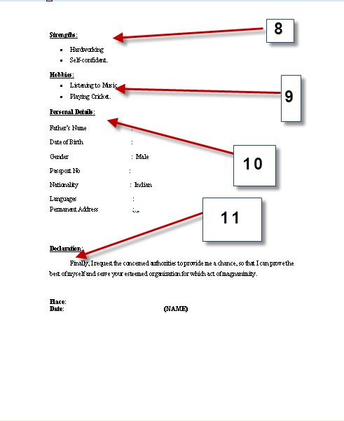 Sample Resume Format for Testing Tools