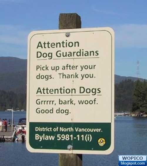 Funny Dog Sign