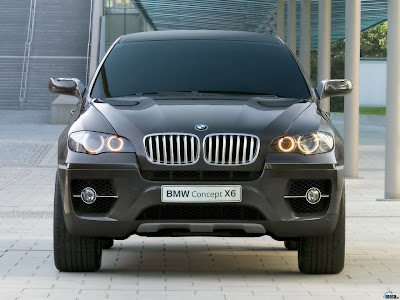 BMW X6 Activehybrid Concept