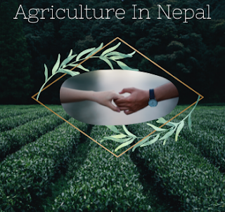 write an essay on agriculture in nepal 250 words