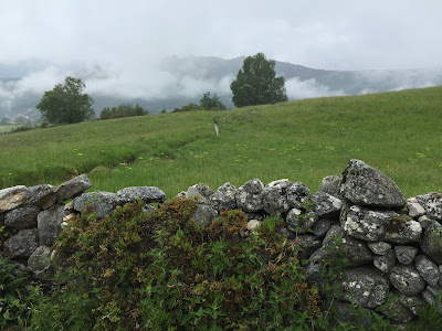 Hispania: preRoman cottages in O Piornedo   http://archeopolis.blogspot.com/2017/06/hispania-preroman-cottages-in-o.html  by E.V.Pita (2017)   Pallozas perrománicas de O Piornedo (Ancares)  por E.V.Pita (2017)