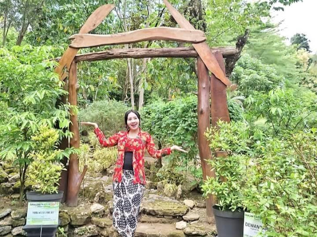 Taman jamu naturindo jogja