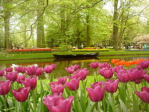 Tempat Wisata Di Belanda - Keukenhof Park