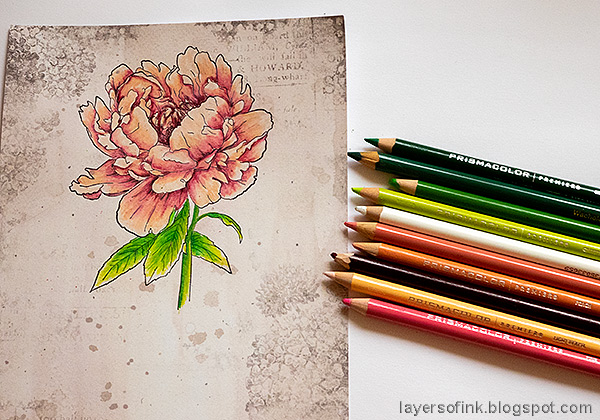 Layers of ink - Peony Card Tutorial by Anna-Karin Evaldsson. Color with Prismacolor pencils.