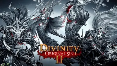 Divinity Original Sin 2  Highly compressed full pc game download