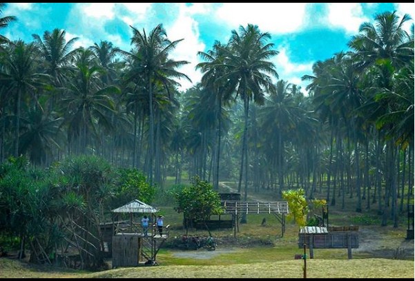 Pantai Dlodo Tulungagung