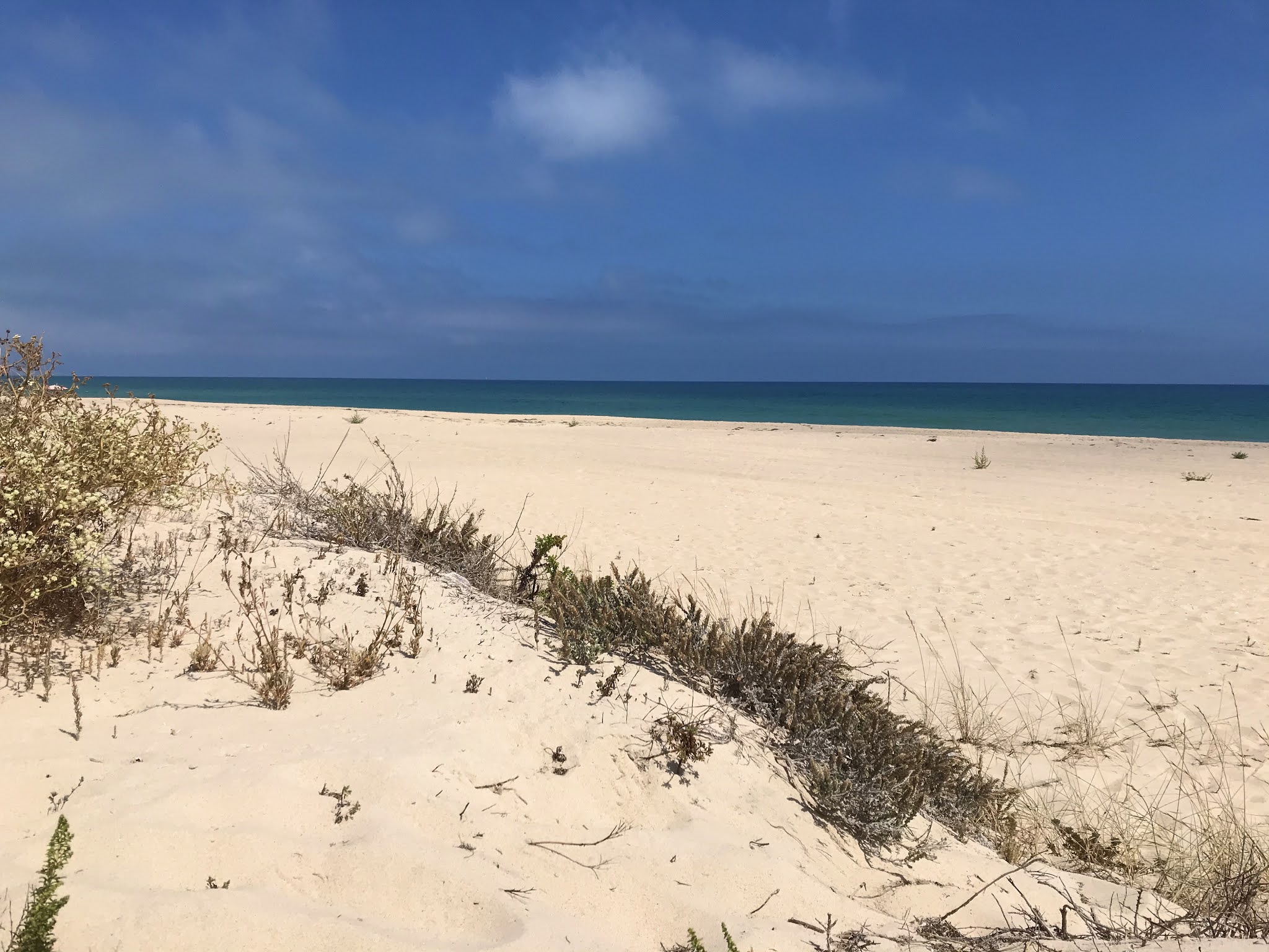 Ilha do Farol, Ilha da Culatra, Algarve, Portugal