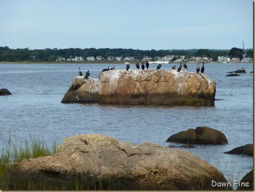 Hammonasset SP_137