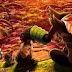 Pokemon the Movie: Coco Release Date