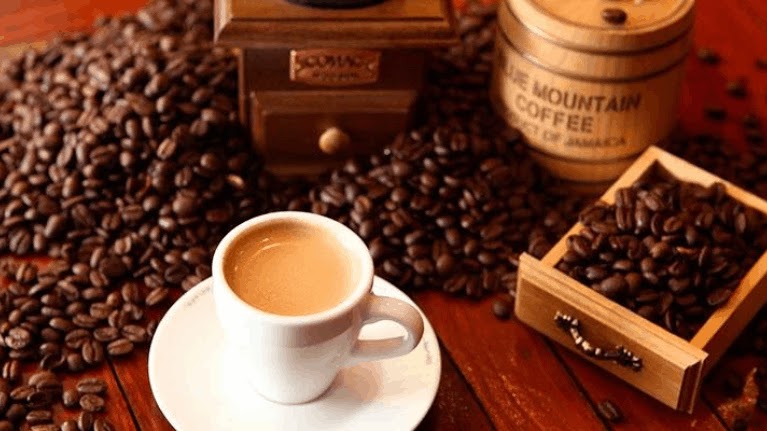 ULA avanza con Congreso Internacional del Café del 20 al 22 de marzo