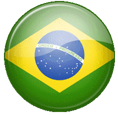 round brazilian flag