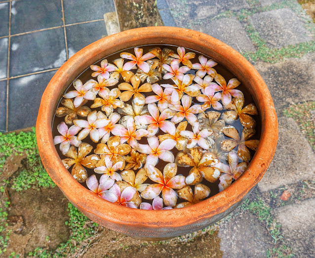 Terrapuri Heritage Village : Simpan 29 Buah Kisah di Setiap 29 Buah Rumah