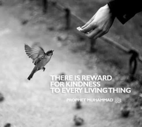 reward-for-kindness