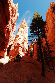 On the Navajo Loop Trail