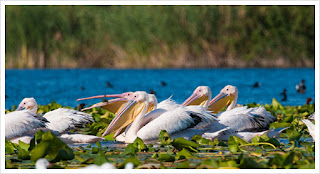 Natural wonders of Romania