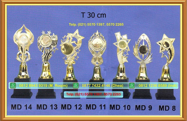 Jual Piala Murah Siap Kirim Tangerang | Asaka Trophy