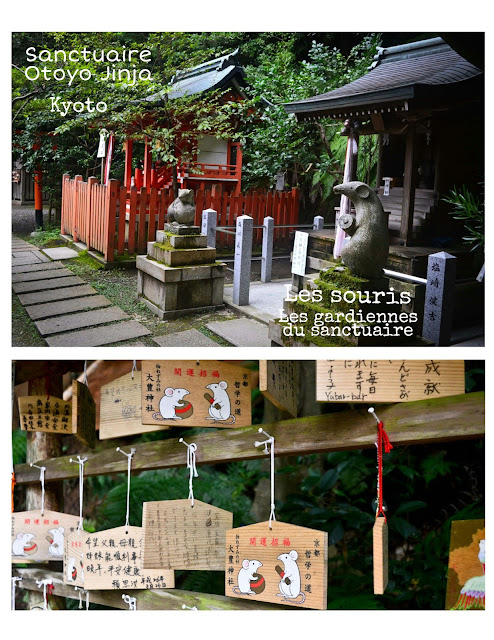 sanctuaire, souris,Otoyo Jinja,Japon,voyage, blog,blogue,anthracite-aime 