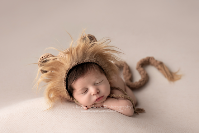 Eugene Oregon newborn pictures, baby in lion hat and tail
