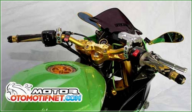 Modifikasi Kawasaki Ninja RR Mono Gaya Moge Sport Yang 