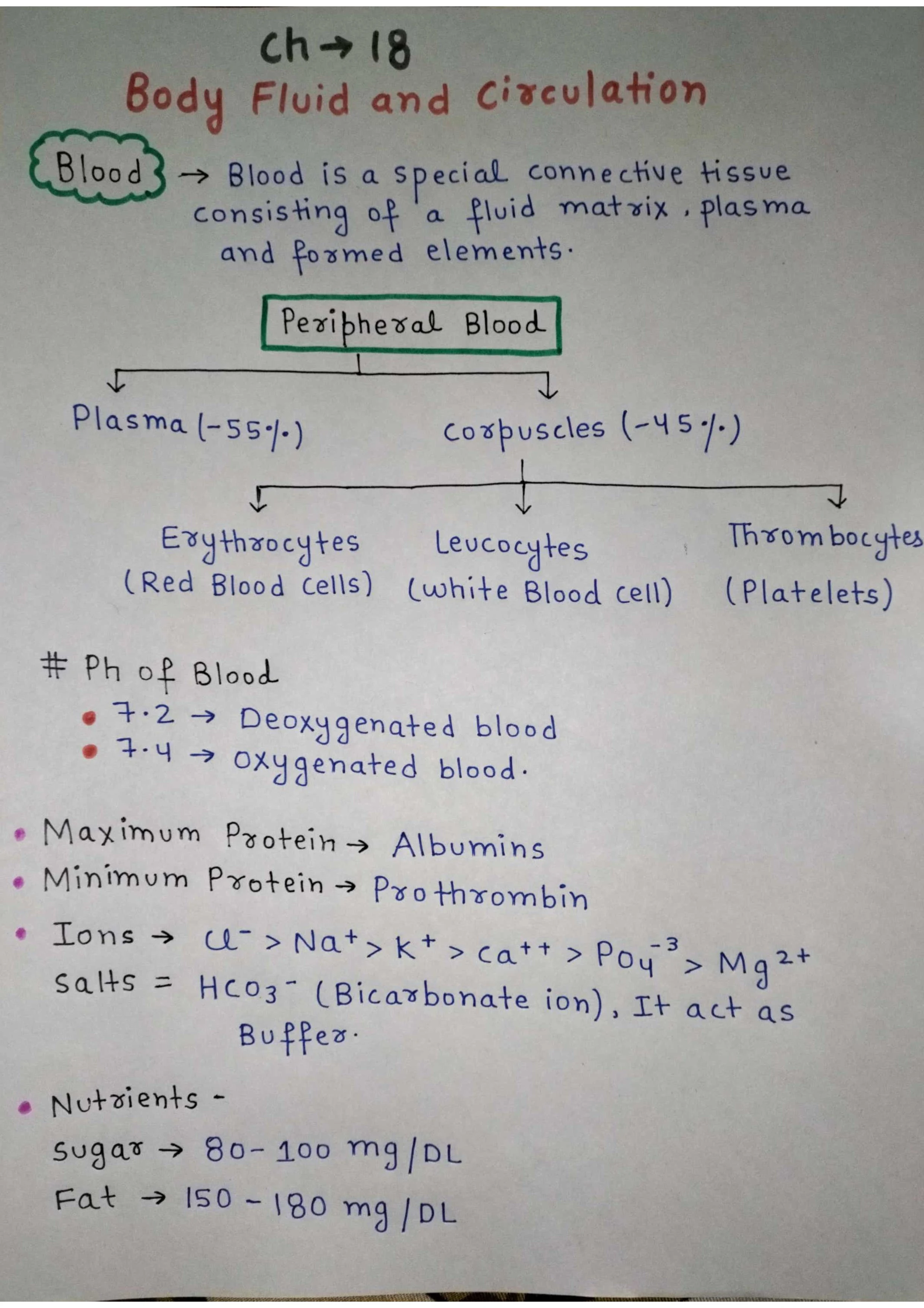 Body Fluids and Circulation - Blood, Lymph, and Heart Function