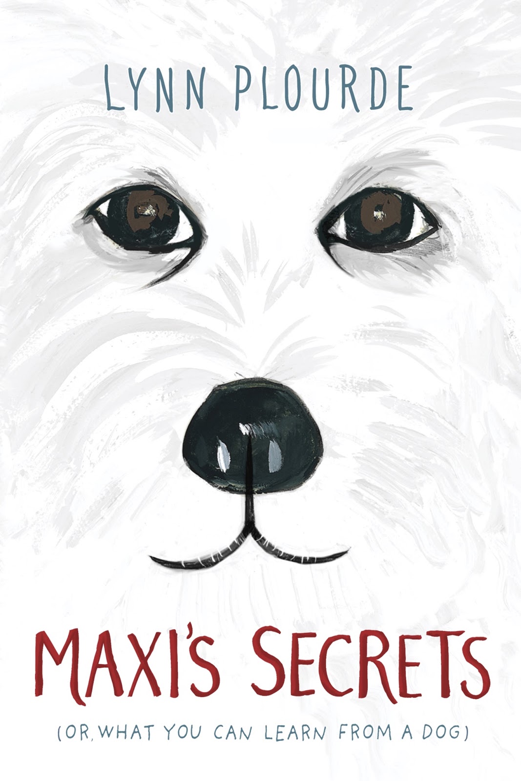 Maxi s Secrets book cover
