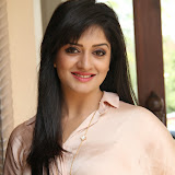 Vimala Raman Latest Photos in Jeans at Trendz Life Style Expo 2014 Inauguration 0042