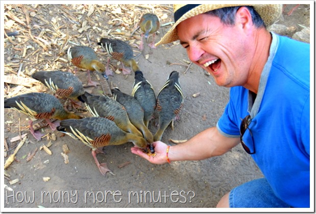 Billabong Sanctuary | How Many More Minutes?
