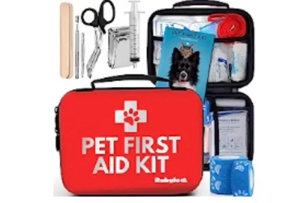 How Often Should I Update My Pet's Emergency Kit?