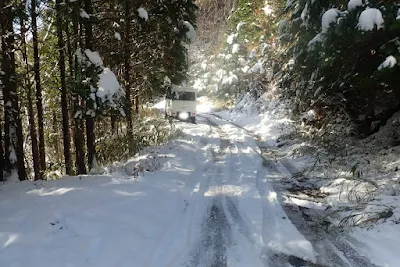 坂瀬林道