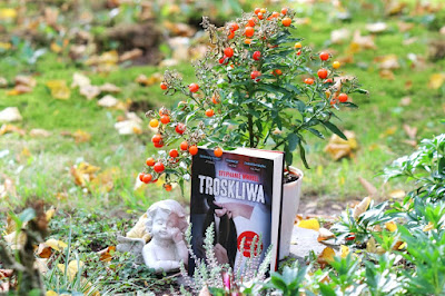 troskliwa , recenzja , ksiazki, stephanie, wrobel , książki , opinia , recenzje, opinie, ocena, oceny, blogger, książkowy, świat, aschlee,