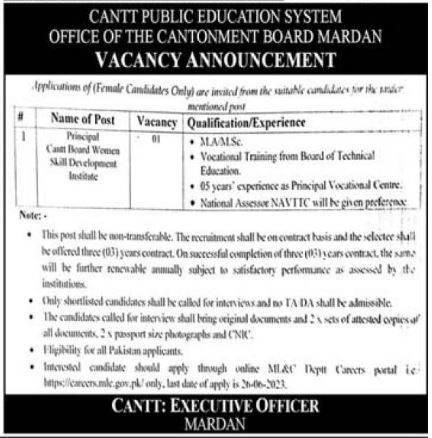 Jobs in Cantt Public Education System