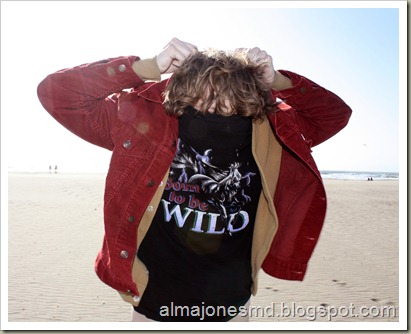 ty segall