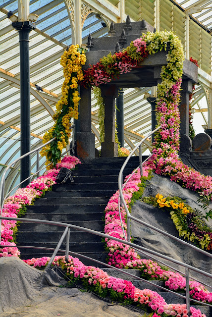 Lalbagh flower show 2018