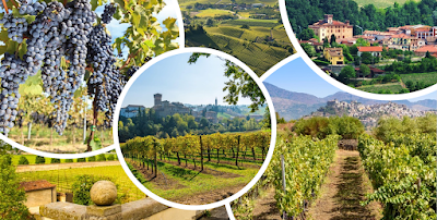 Vinos italianos: conoce los tipos, marcas y regiones