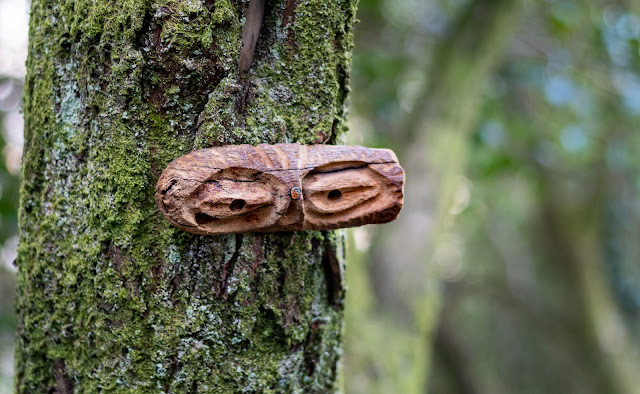 Faces in the woods