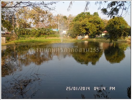'งานเกษตรภาคอีสาน ขอนแก่น 2557