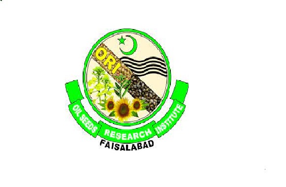 Latest Oil Seeds Research Institute Research Posts Faisalabad 2022