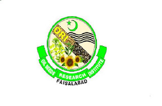 Latest Oil Seeds Research Institute Research Posts Faisalabad 2022