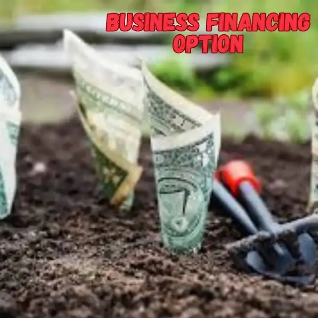 Business-Financing-Options