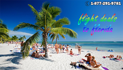 Flight Deals to Florida